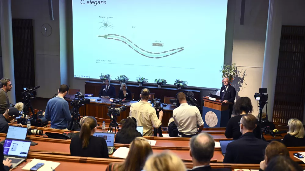 Olle Kämpe, right, professor of clinical endocrinology, explains the work of this year's Nobel Prize in Physiology or Medicine laureates Americans Victor Ambros, and Gary Ruvkun during a press conference at the Karolinska Institute in Stockholm, Sweden, on Monday, Oct. 7, 2024. (Christine Olsson/TT News Agency via AP)