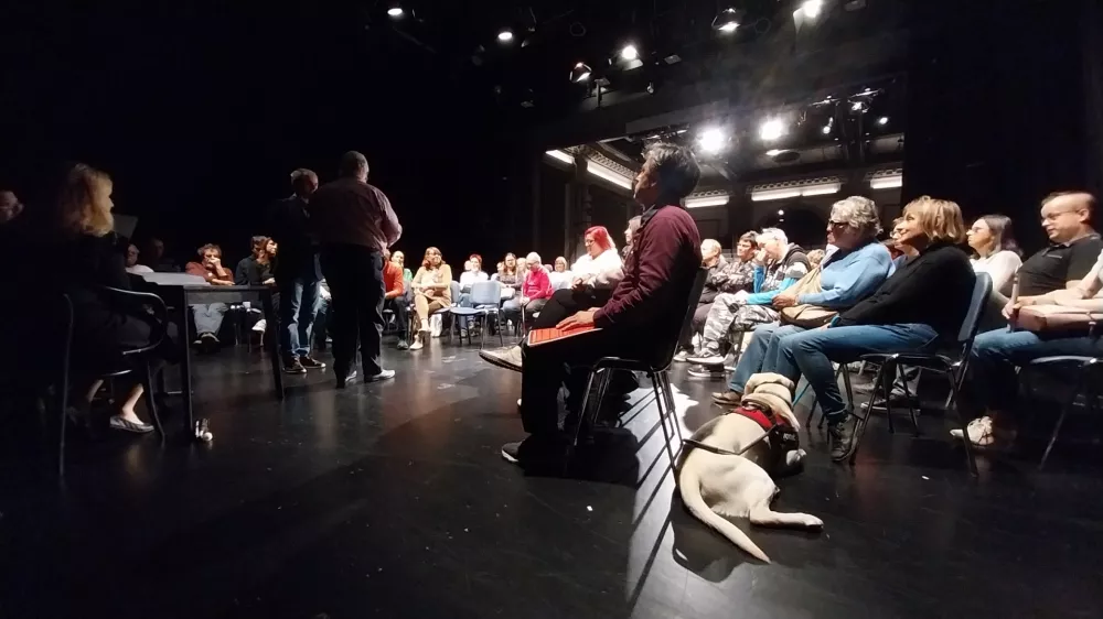 Premiera bralne uprizoritve "REMI" ob Mednarodnem dnevu bele palice v Šentjakobskem gledališču Ljubljana