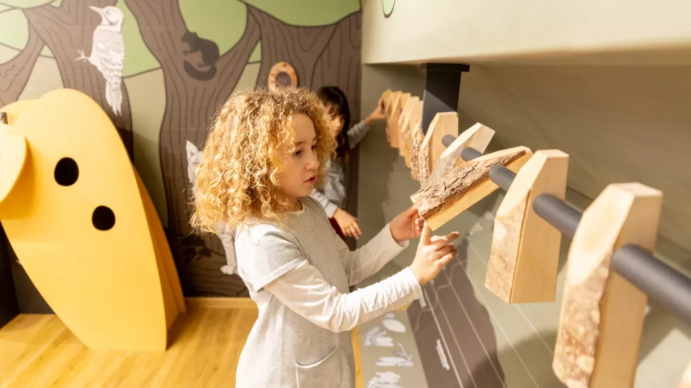 V Ekomuzeju Pivških presihajočih jezer vabijo ne le k ogledu, ampak tudi k dotikanju, poslušanju in vonjanju razstavljenih eksponatov. Foto: Valter Leban / Foto: Valter Leban