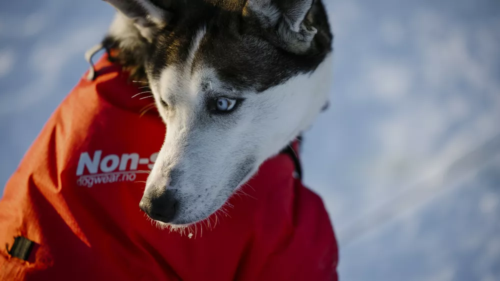 Fjallraven Polar 2024