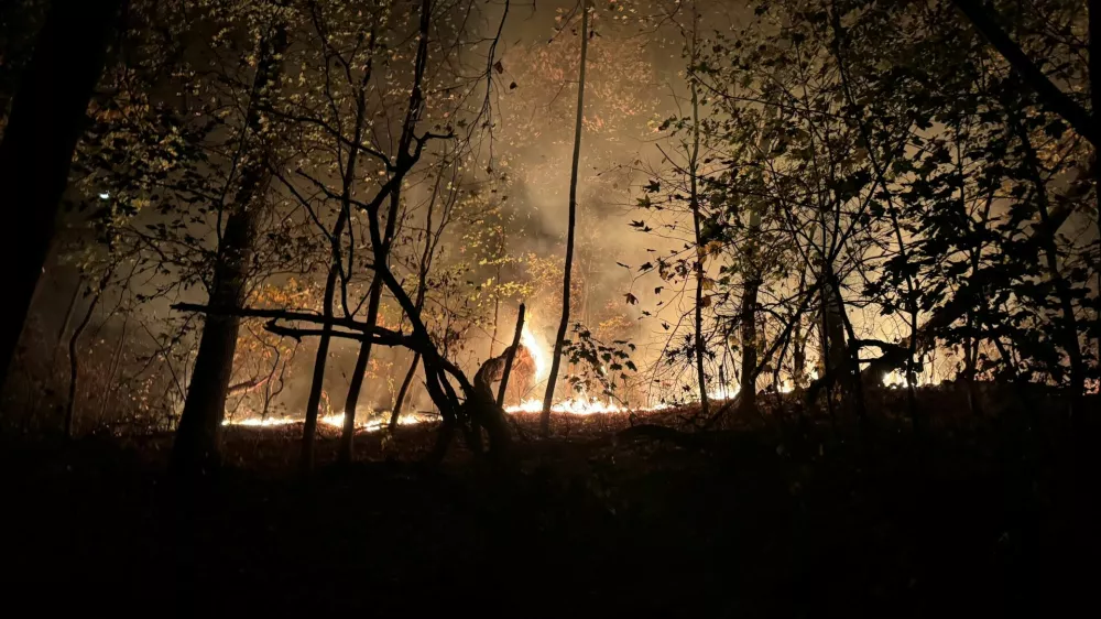 Smoke billows from a fire at Prospect Park, New York City, New York, U.S., November 8, 2024, in this picture obtained from social media. Michelle Paggi, Ph.D./via REUTERS THIS IMAGE HAS BEEN SUPPLIED BY A THIRD PARTY. MANDATORY CREDIT. NO RESALES. NO ARCHIVES.