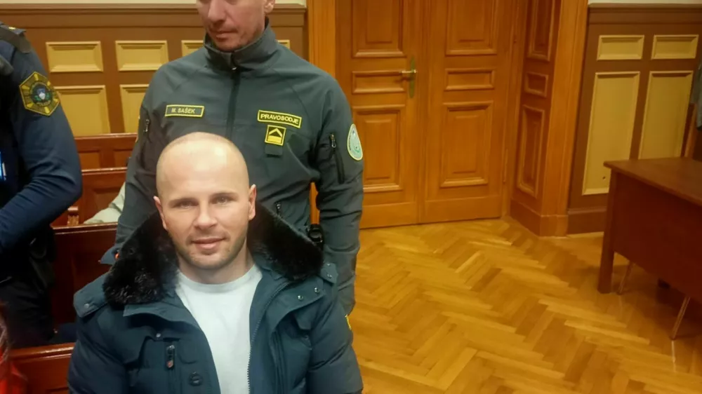 Nikola Prelec je očitana mu kazniva dejanja priznal in sodnici obljubil, da ne bo nikoli več storil česa kaj tako neumnega. 