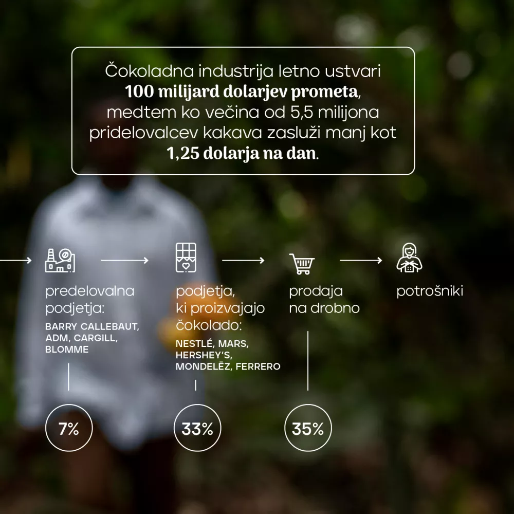 Infografika kakav Fokus / Foto: Fokus