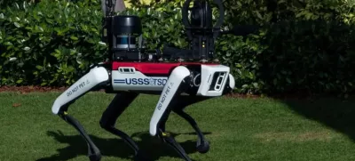 Kuža, ki ga ne smemo pobožati. / Foto: Reuters