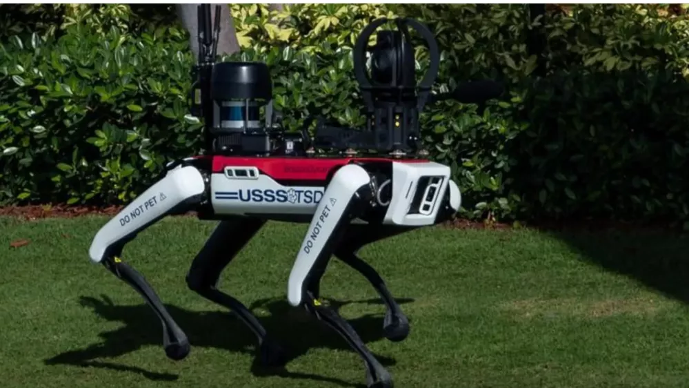 Kuža, ki ga ne smemo pobožati. / Foto: Reuters