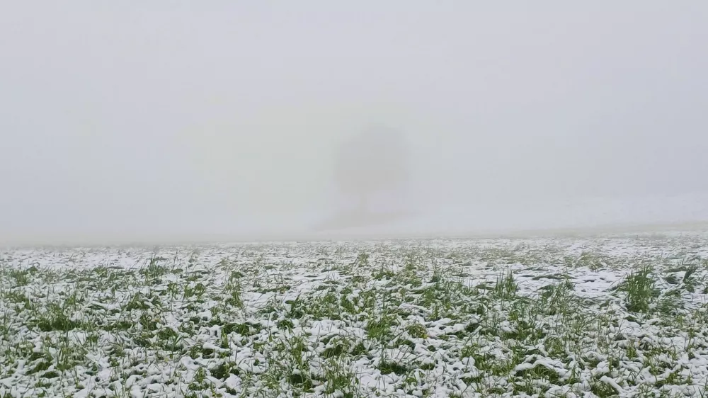 Sneg je pobelil tudi Medvode.