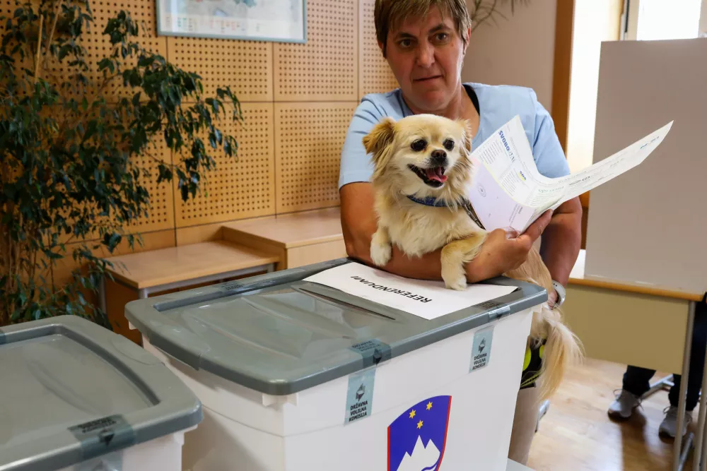 - Volišče OŠ Moste.- 09.06.2024. - Volitve v Evropski parlament in štirje referendumi za preferenčni glas, o Evtanaziji, o rabi marihuane v medicinske namene in za rekreativno uporabo 2024.//FOTO: Bojan Velikonja / Foto: Bojan Velikonja