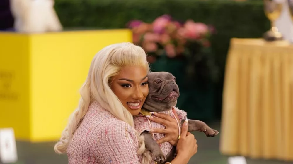 Megan Thee Stallion's dog Foe - @frenchie4oe - &pound;5,436 na objavo