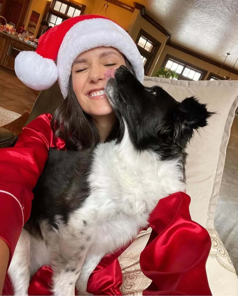 Nina Dobrev's dog Maverick - @mrs.maverick -&pound;3,908 per post