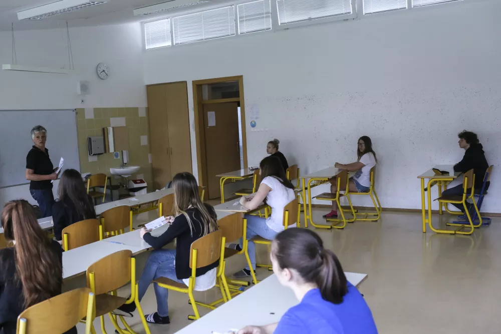 Znanje slovenskih učencev je na določenih področjih nazadovalo za skoraj 15 let, opozarjajo na Pedagoškem inštitutu. Foto: Jaka Gasar 