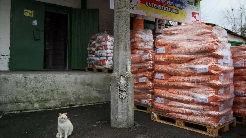 A cat sits near the humanitarian aid for Kyiv Zoo from Zoo Berlin, Tierpark Berlin, Tiergarten Schonbrunn and Alpenzoo Innsbruck that includes 18 tons of specialized dried food for animals, ahead of Christmas and New Year season, amid Russia's attack on Ukraine, in Kyiv, Ukraine December 18, 2024. REUTERS/Gleb Garanich