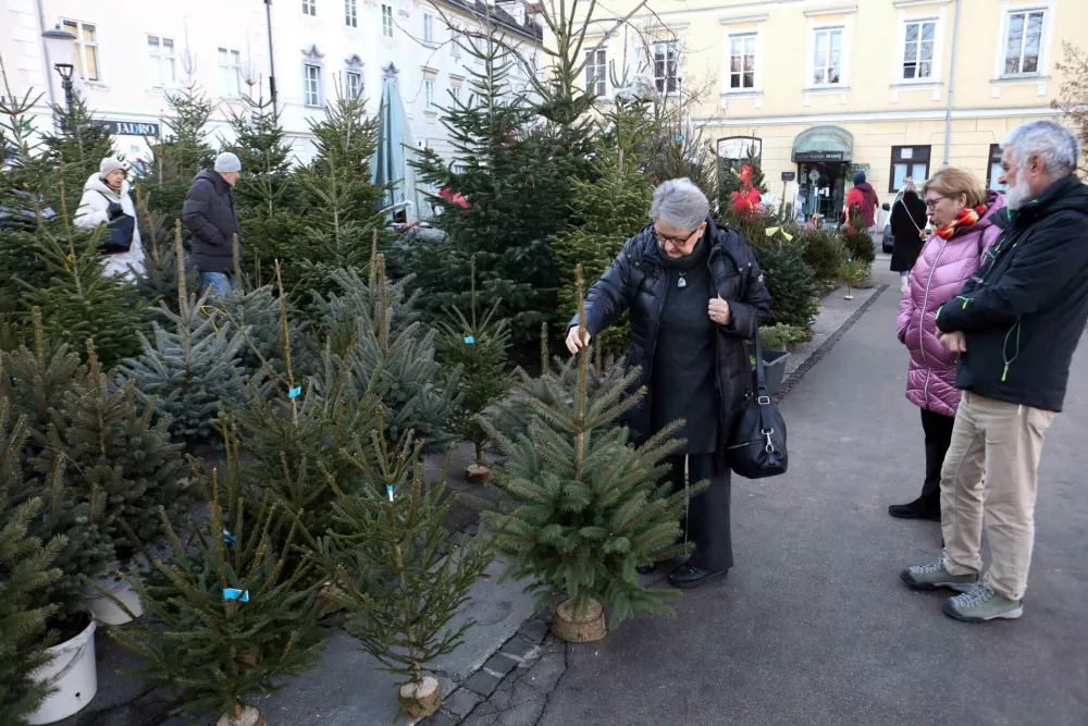 Več gneče na glavni ljubljanski tržnici pričakujejo za konec tedna in potem v ponedeljek.