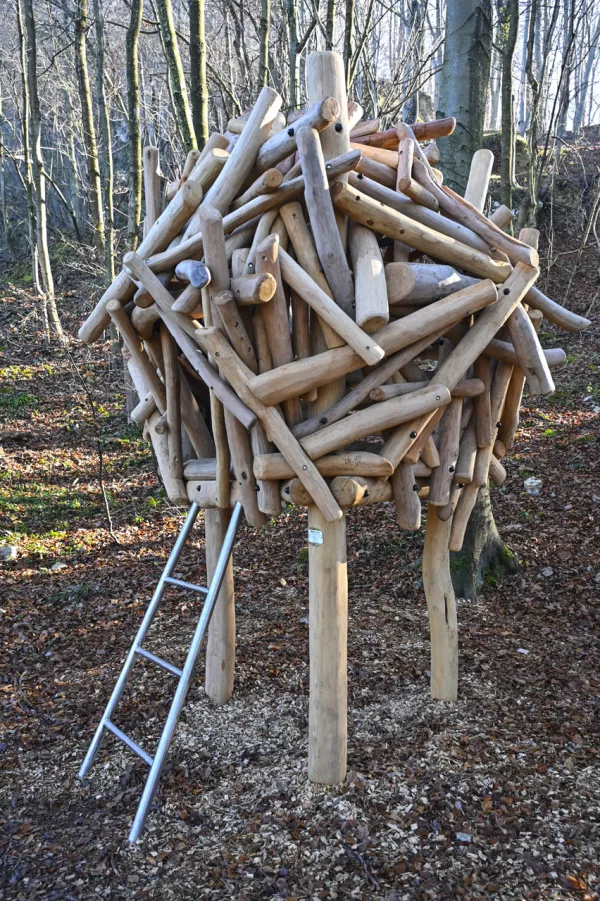 Igralo z imenom gnezdo ob poti / Foto: Franci Horvat