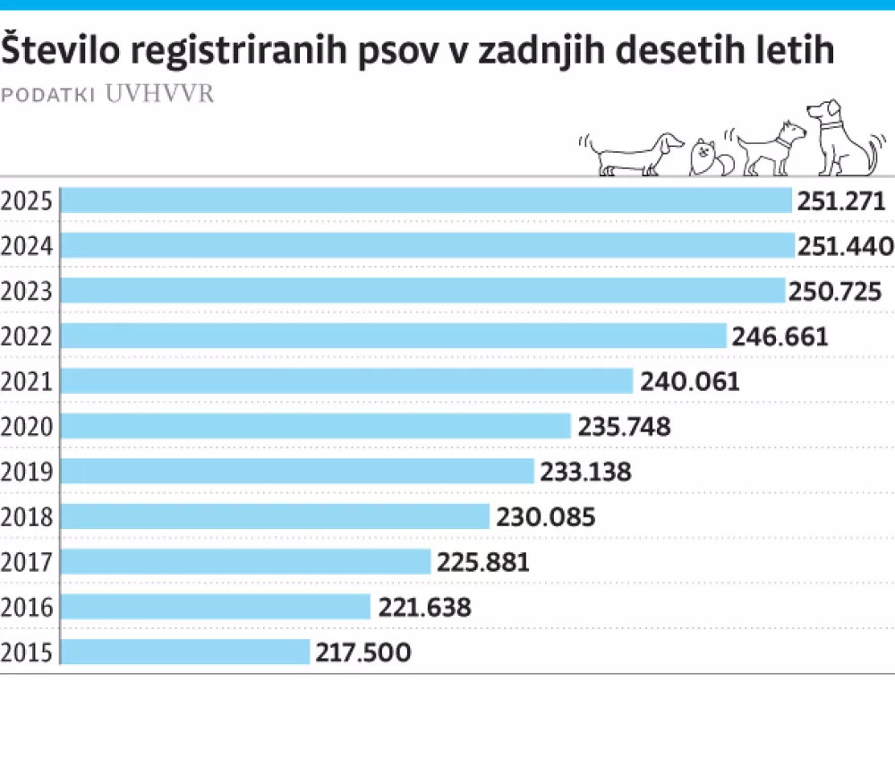 živali, psi, registrirani psi / Foto: Infografika