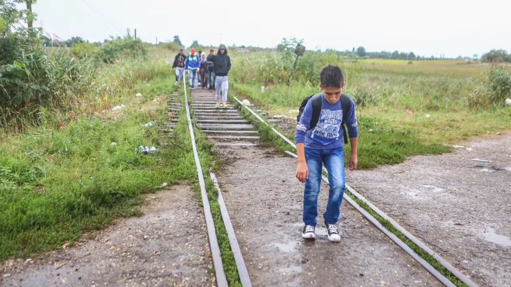 ﻿- 26.08.2015 - Madžarska - Hordos - madžarsko-srbska meja - Begunci hodijo proti Madžar4ski meji- Begunci 2015 - migracije po zahodni balkanski poti - migracijska pot beguncev iz Sirije, Afganistana in Iraka čez Balkan proti zahodni Evropi - evropska begunska kriza - migranti -     //FOTO: Bojan VelikonjaOPOMBA: ZA OBJAVO V PRILOGI – DNEVNIKOV OBJEKTIV - REPORTAŽA 2015 -