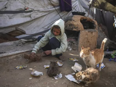 Palestinian Manal al-Hasoumi, 8, feeds cats leftover food next to her family's tent, which is locally made from pieces of cloth and nylon, at a camp for internally displaced Palestinians on the beachfront in Deir al-Balah, central Gaza Strip, Friday, Dec. 27, 2024. (AP Photo/Abdel Kareem Hana)