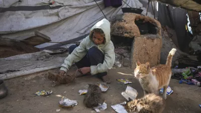 Palestinian Manal al-Hasoumi, 8, feeds cats leftover food next to her family's tent, which is locally made from pieces of cloth and nylon, at a camp for internally displaced Palestinians on the beachfront in Deir al-Balah, central Gaza Strip, Friday, Dec. 27, 2024. (AP Photo/Abdel Kareem Hana)