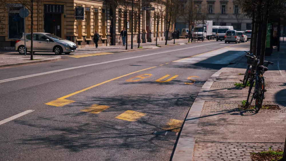 20.3.2024 - Rumeni pas za avtobus LPP - mestni potniški prometFoto: Kolja Kragelj