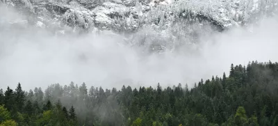 A view of fresh snow above a mountain forest near the summit of the Zugspitze near Garmisch-Partenkirchen, Germany, September 12, 2024. REUTERS/Angelika Warmuth   TPX IMAGES OF THE DAY