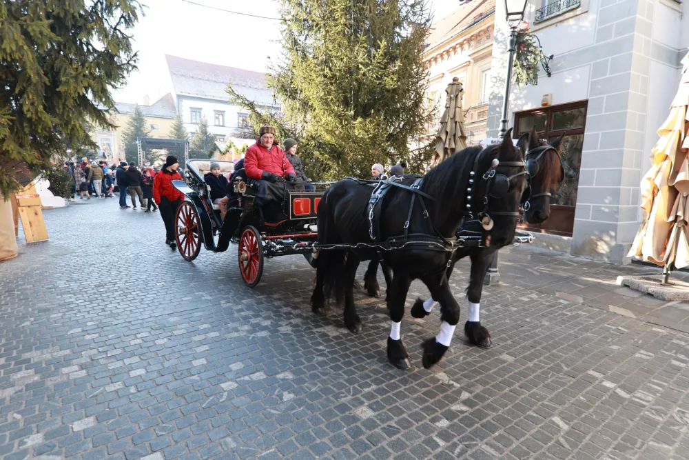 Pravljična dežela v Celju. Foto: Gregor Katič