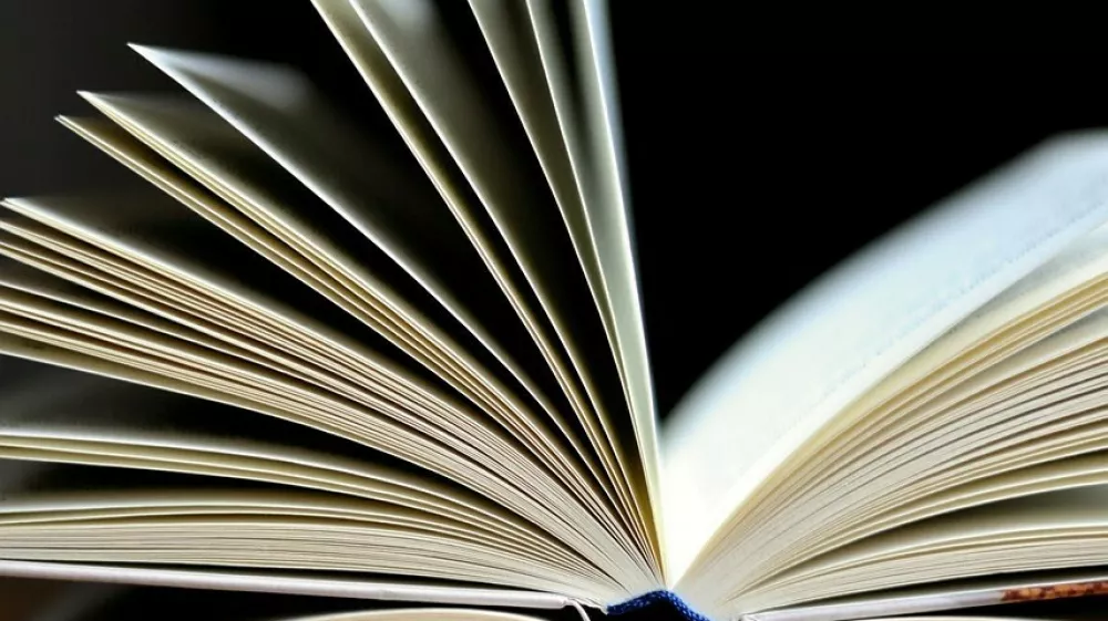 knjiga simbolična pixabay