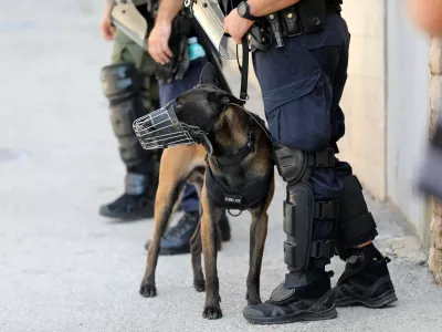 09.07.2024., Pula: Nemali broj interventnih policajaca, blokiran kvart, odvjetnici i rijetki stanari pulske poslovno-stambene zgrade popularne "Porecanke", obiljezili su ovo vruce pulsko jutro. Photo: Sasa Miljevic / PIXSELL/PIXSELL