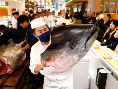 The head of a 276-kilogram bluefin tuna that was auctioned for 207 million Japanese yen (about 1.3 million U.S. dollars), which was bought jointly by sushi restaurant operator Onodera Group and wholesaler Yamayuki, is carried by a sushi chef at an Onodera sushi restaurant after the first tuna auction of the New Year in Tokyo, Japan January 5, 2025. REUTERS/Issei Kato   TPX IMAGES OF THE DAY