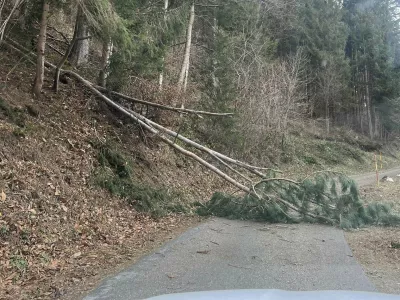 veter Foto:A. R., Meteoinfo Slovenija