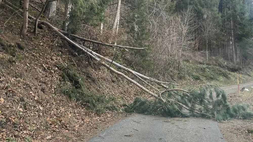 veter Foto:A. R., Meteoinfo Slovenija