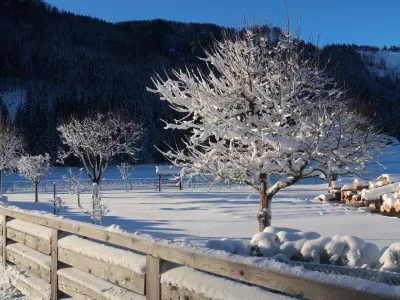 Zima, sneg, sonce Foto: Tatjana Pihlar