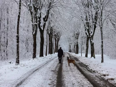 09 January 2025, France, Vimy: A pedestrian walks his dog along a snow-covered road near the northern French town of Vimy. Two people have died during a cold snap in northern France, local media reported on Thursday. Photo: Denis Charlet/AFP/dpa