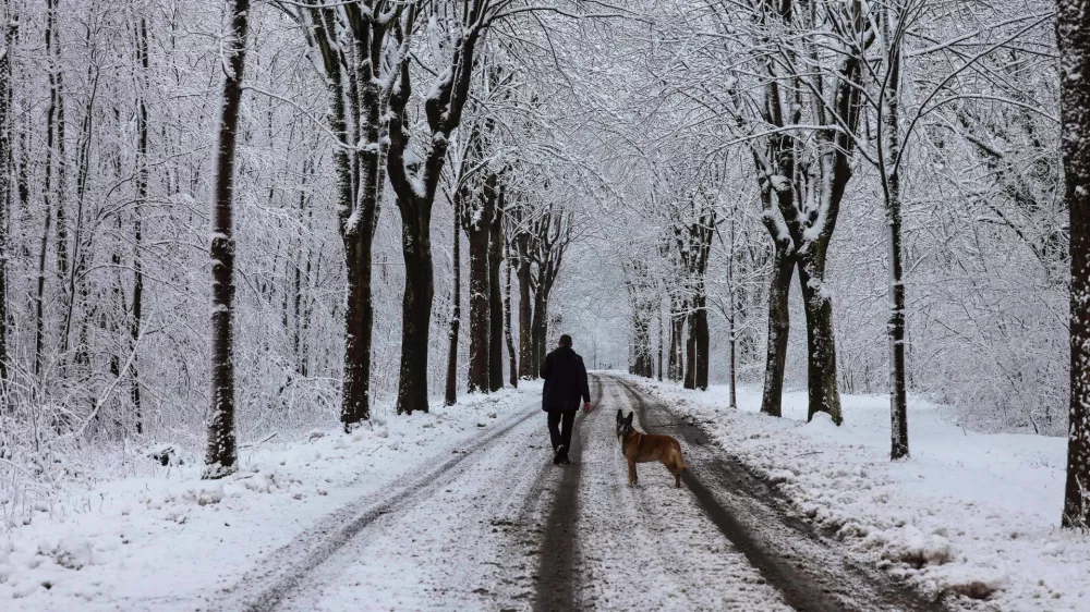 09 January 2025, France, Vimy: A pedestrian walks his dog along a snow-covered road near the northern French town of Vimy. Two people have died during a cold snap in northern France, local media reported on Thursday. Photo: Denis Charlet/AFP/dpa