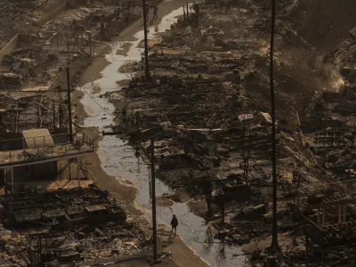 A person walks amid the destruction left behind by the Palisades Fire in the Pacific Palisades neighborhood of Los Angeles, Thursday, Jan. 9, 2025. (AP Photo/Jae C. Hong)