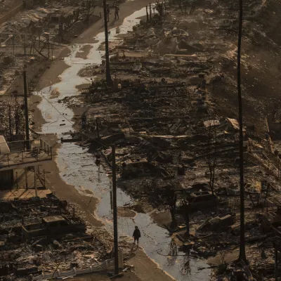 A person walks amid the destruction left behind by the Palisades Fire in the Pacific Palisades neighborhood of Los Angeles, Thursday, Jan. 9, 2025. (AP Photo/Jae C. Hong)