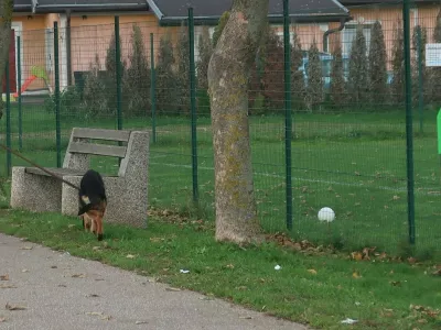 Tudi v nekaterih romskih naseljih (fotografija je s Pušče pri Murski Soboti) so lastniki psov odgovorni. Vodijo jih na povodcu, njihove iztrebke pa odlagajo v posebej za to nameščene koše. Foto: Tatjana Pihlar