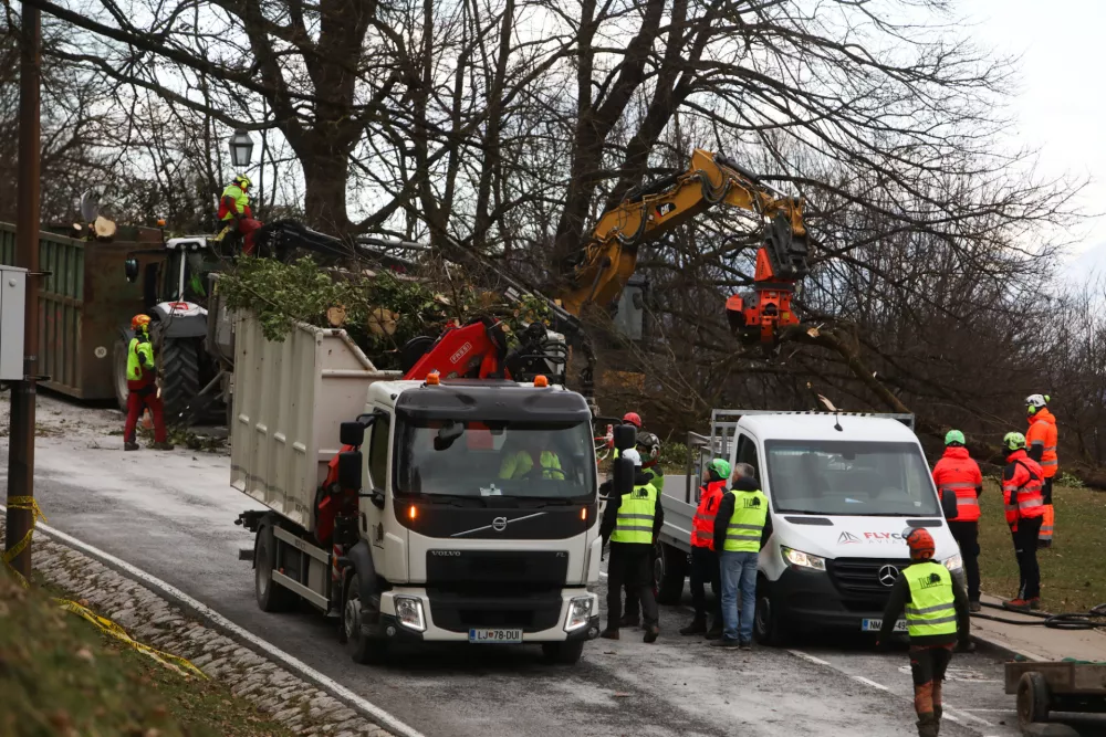 13.01.2025. odvoz dreves iz grajskega hriba s helikopterjem. foto: Bojan Velikonja 