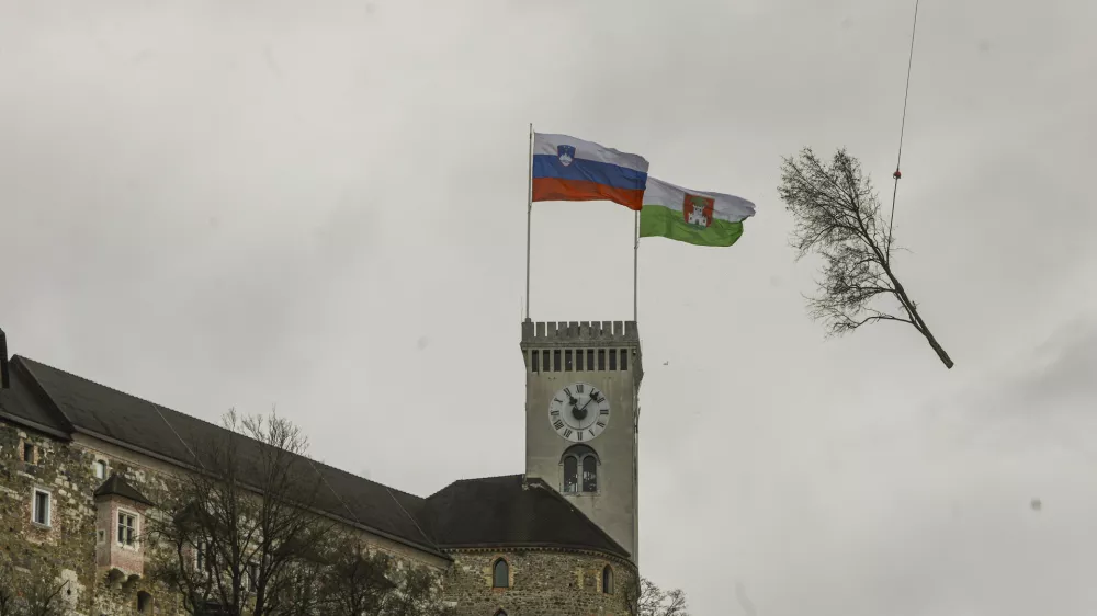 13.01.2025 - Grajski hrib, Grajski grič, Ljubljanski grad, posek - sečnja - Tisa - helikopter - prevoz dreves - hlodovine s helikopterjemFOTO: LUKA CJUHA