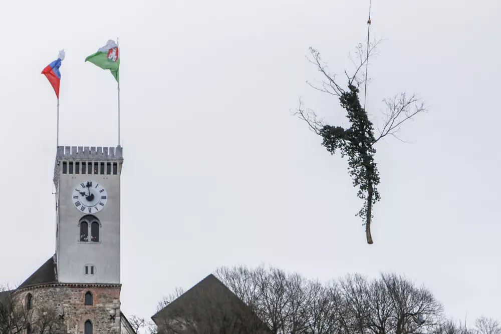 - Helikopter z privezanim drevesom in potniško letalo,- drevo v zraku, leteče drevo,- 13.01.2024. - Sečnja in spravilo oslabljenega lesa na Grajskem hribu v Ljubljani tudi s helikopterjem prvič v Sloveniji.//FOTO: Bojan Velikonja