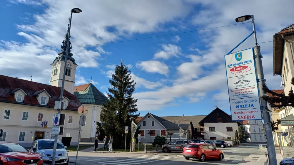 V Kranju so skupaj z Nacionalnim inštitutom za javno zdravje soorganizirali delavnico o okoljskih vplivih letališč, na kateri so izpostavili izzive, s katerimi se soočajo in predlagali ukrepe, kako jih omejiti. Foto: Tina Jereb