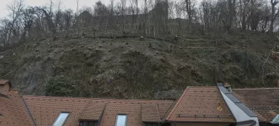 20.01.2025- Grajski hrib, Grajski grič, Ljubljanski grad, posek - sečnja - Tisa - Foto: Luka Cjuha