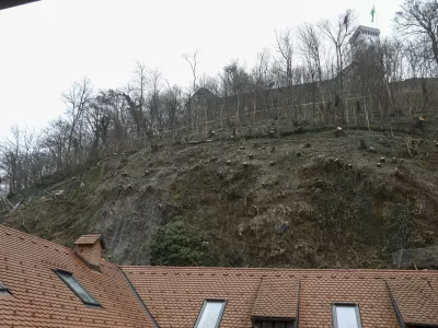 20.01.2025- Grajski hrib, Grajski grič, Ljubljanski grad, posek - sečnja - Tisa - Foto: Luka Cjuha