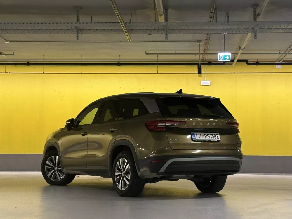 Škoda kodiaq / Foto: Matjaž Terzič