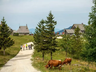 Velika planina / Foto: Velika Planina