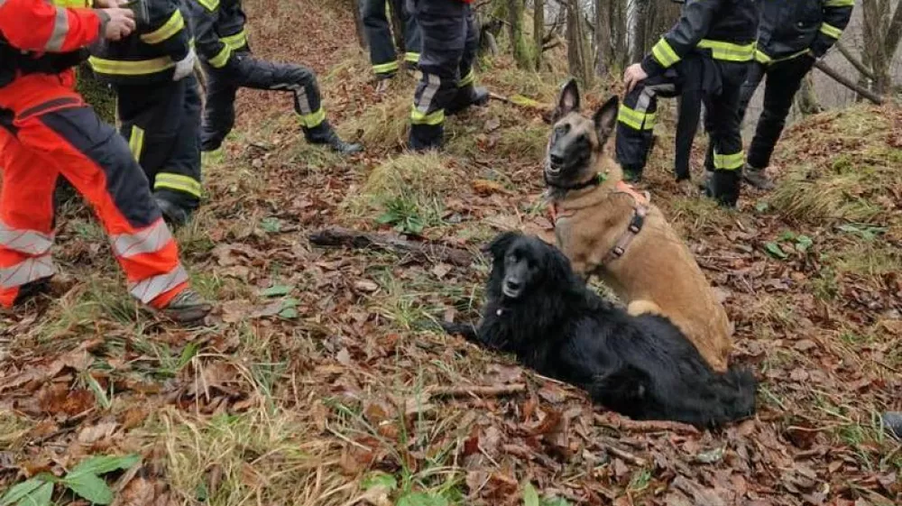 Pogrešanega Dolesa so iskali tudi reševalni psi. 