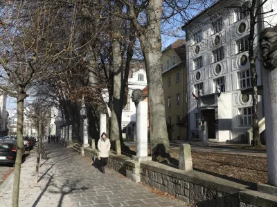 ﻿- 13.01.2020 – Vegova ulica v Ljubljani – doprsni kipi slovenskih kulturnih ustvarjalcev pred glasbeno matico - drevored – drevesa //FOTO: Luka Cjuha.