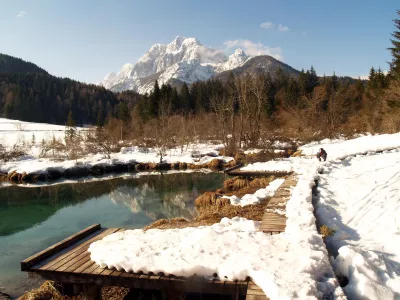 zelenci rečni izvir