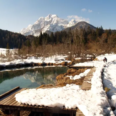 zelenci rečni izvir