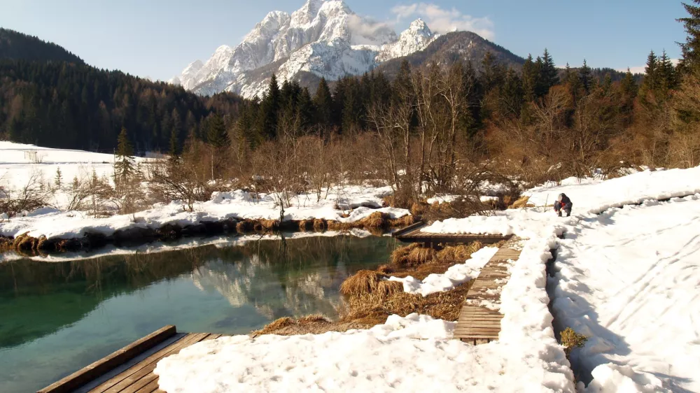 zelenci rečni izvir