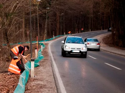 Foto: Herpetološko društvo