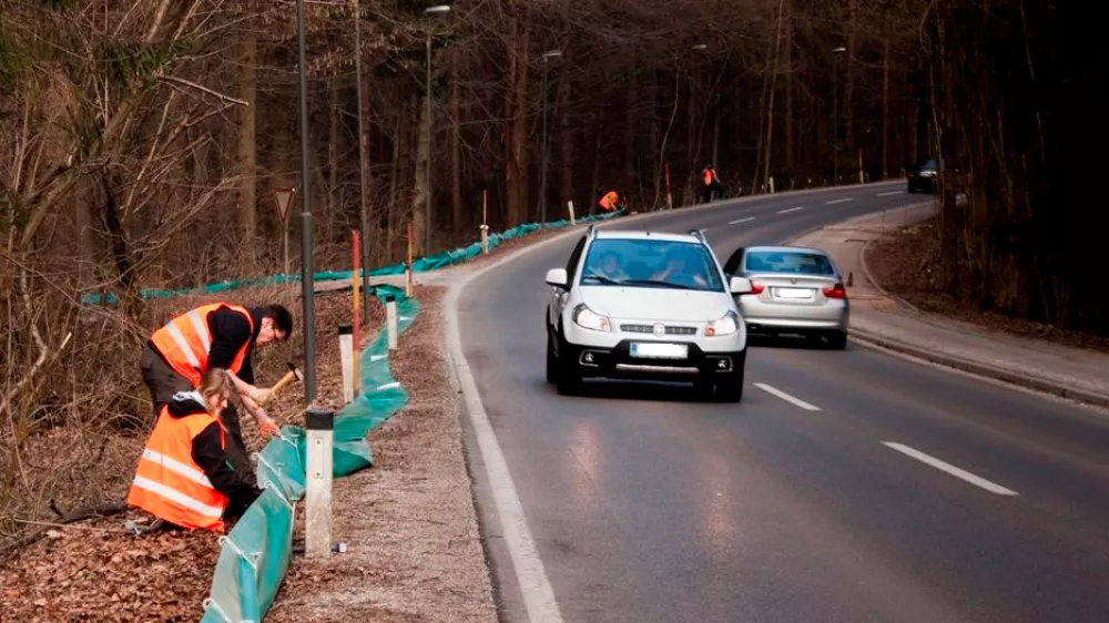 Foto: Herpetološko društvo